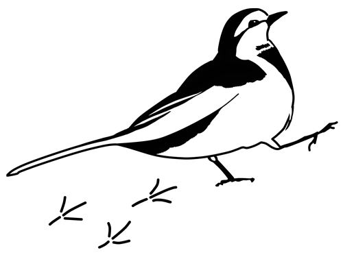 ハクセキレイのロゴマーク